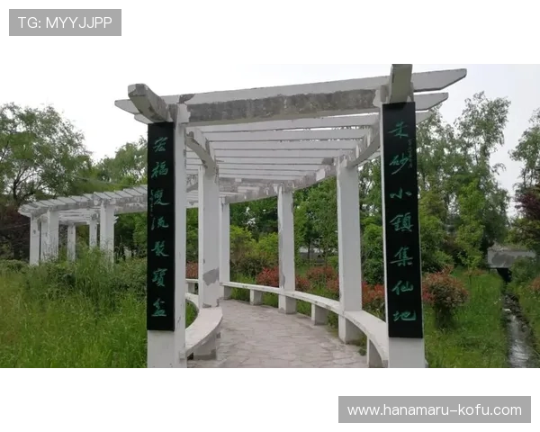 如何快速找到开云集团官方网址及其安全登录步骤 如何快速找到开云集团官方网址及其安全登录步骤