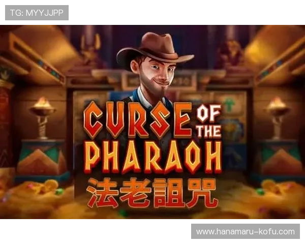 问鼎PG官方入口地址查询及进入方法，确保玩家安全顺利登录官方平台