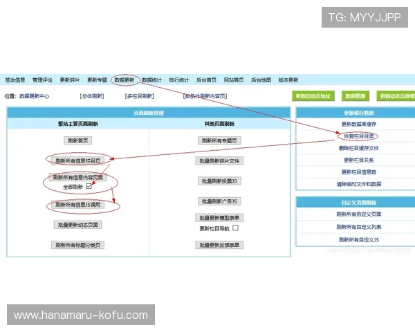 问鼎网页登录入口操作教程详解教你一步步轻松完成登录流程